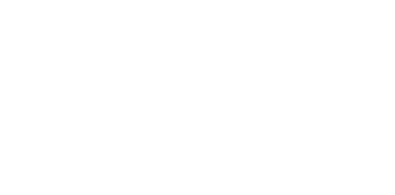 Brisnet logo