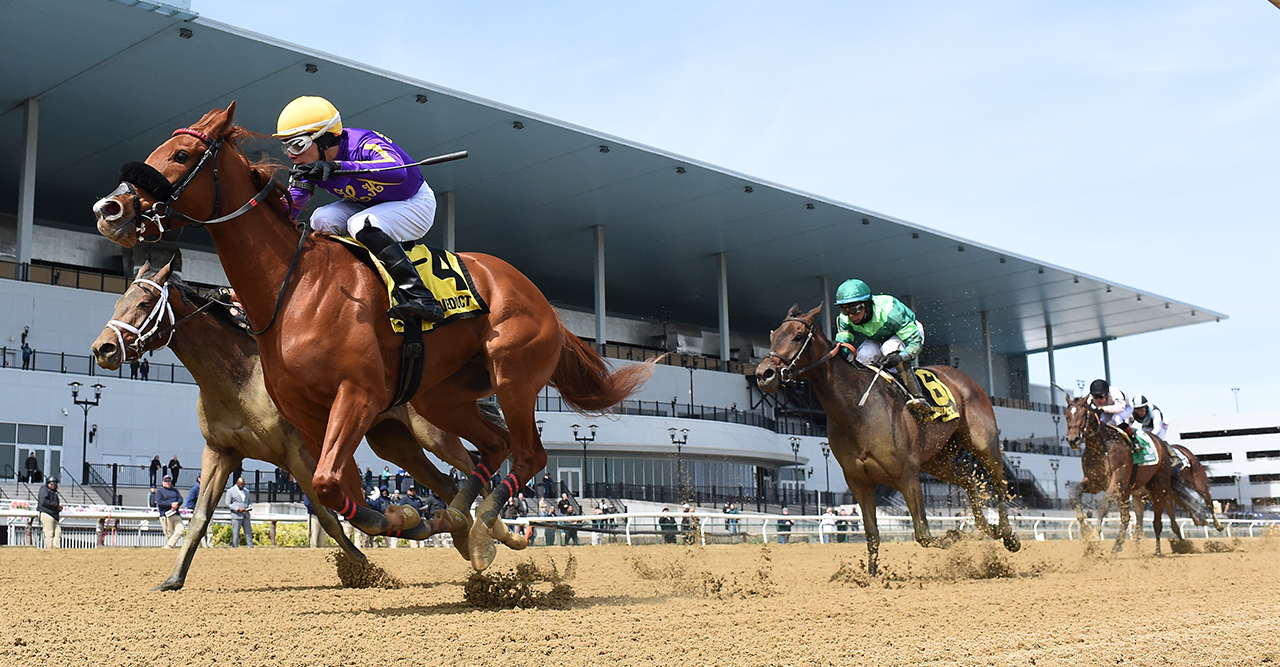 Busher Races Kentucky Derby